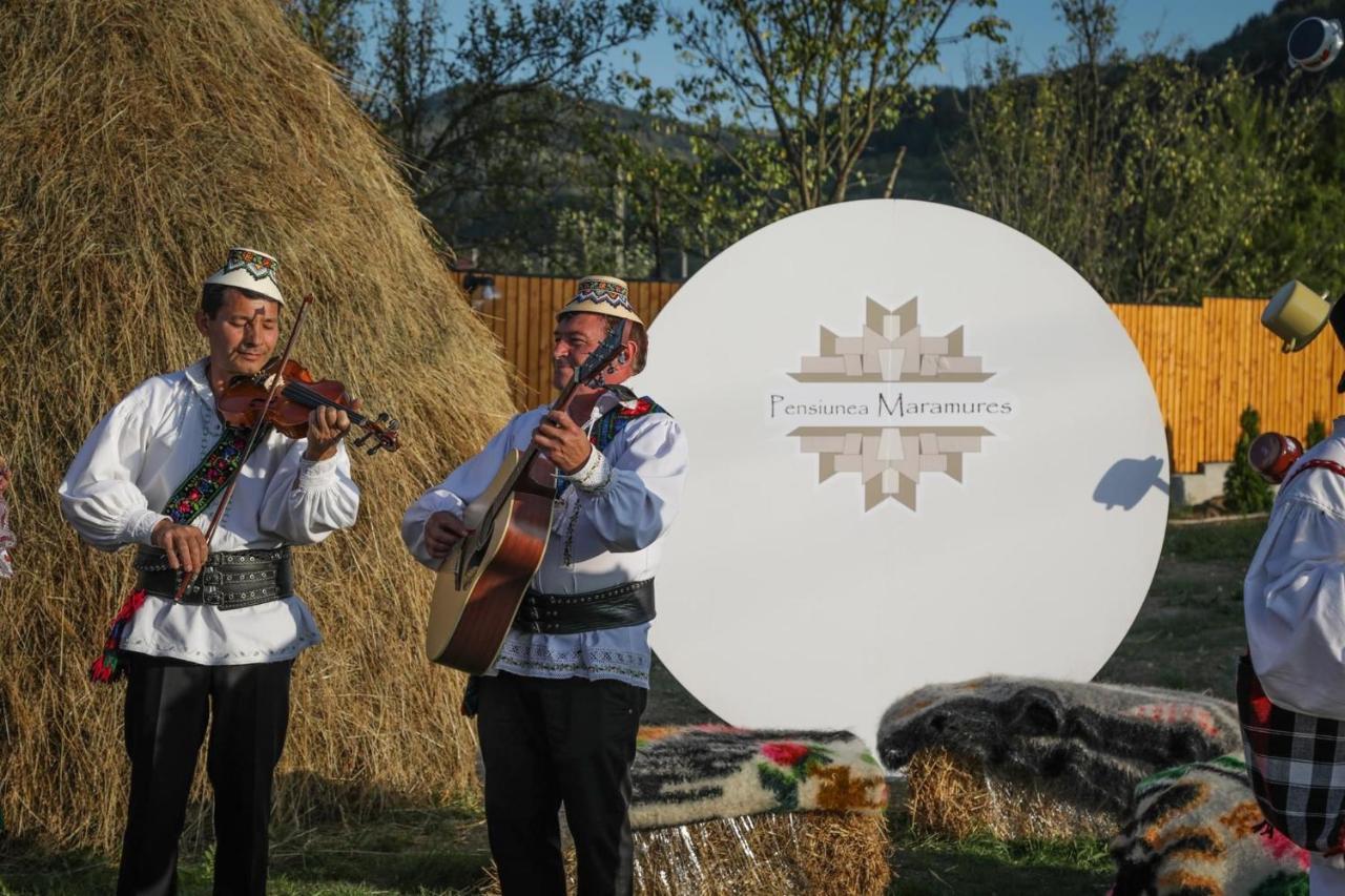 Pensiunea Maramures Guesthouse Вишеу-де-Жос Экстерьер фото